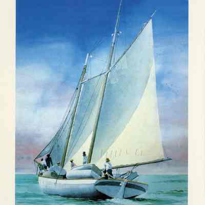 Turtle Schooner