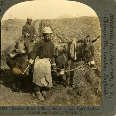 Farmer Boys Tilling the Soil near Port Arthur, Kwantung Leased Territory