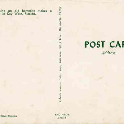 Poincianas Framing an Old Homesite: © Key West Art & Historical Society