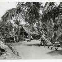 Filming of 