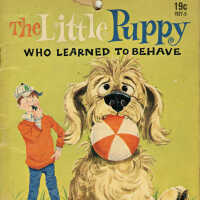 The Little Puppy Who Learned to Behave