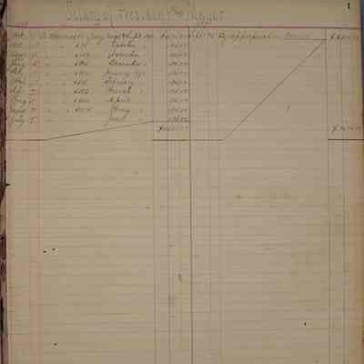 City of Key West Business Ledger: © Key West Art & Historical Society