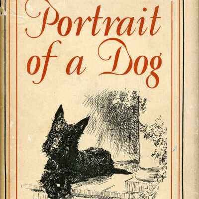 Portrait of a Dog