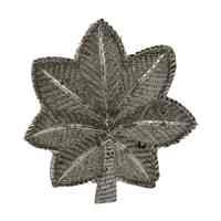 US Army Lieutenant Colonel Cap Insignia