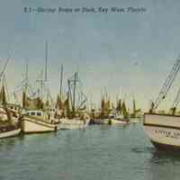 Shrimp Boats at the Docks, Key West, Florida