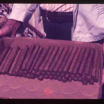 Hand Rolled Cigars