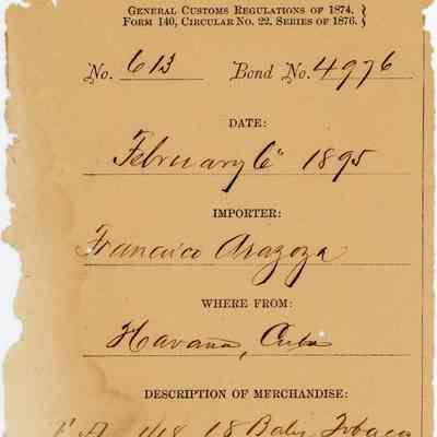 Customs Import Receipt