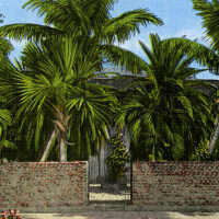 Home of Ernest Hemingway, Key West, Fla.