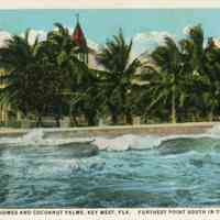 South Beach and Coconut Palms, Key West, FL