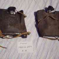 Momsen Lung