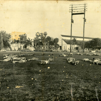 Exercise at Naval Station Key West