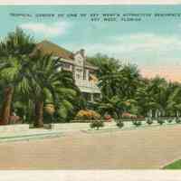 Tropical Garden of One of Key West