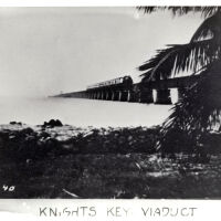Train on the Seven Mile Bridge