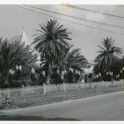 Date Palms at Key West House