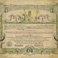 Shellback Certificate