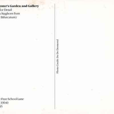 Nancy Forrester's Garden and Gallery: © Key West Art & Historical Society