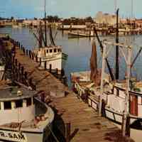 Shrimp Boats at the Dock