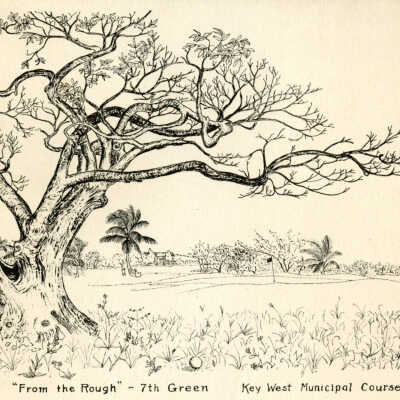 'From the Rough' - 7th Green, Key West Municipal Course
