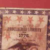 United States Centennial Banner