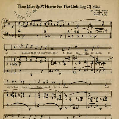 There Must Be a Heaven for that Little Dog of Mine