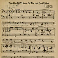 There Must Be a Heaven for that Little Dog of Mine