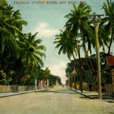 Tropical Street Scene, Key West, Fla.