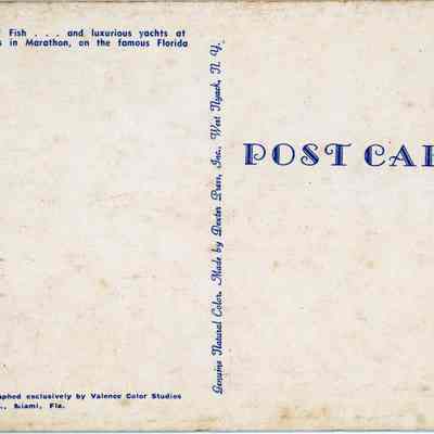 A Day's Catch of Fish: © Key West Art & Historical Society