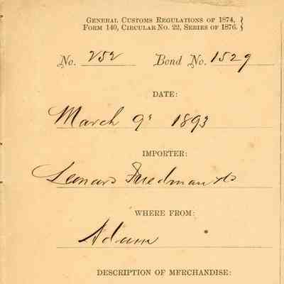 Customs Import Receipts