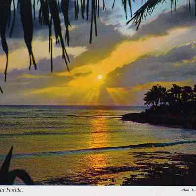 Tropical Sunset in Florida