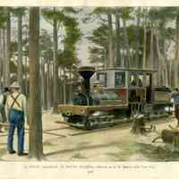 A Novel Railway in South Florida