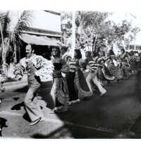 Comparsa Conga Line on Duval Street