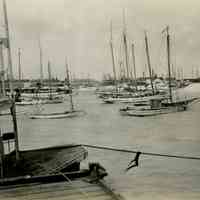 Key West Bight