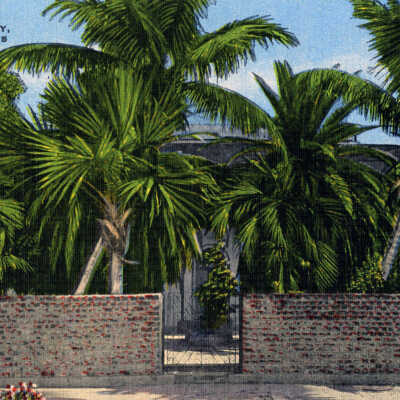 Home of Ernest Hemingway, Key West, Fla.