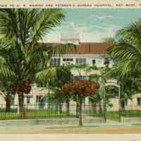 U.S. Marine and Veteran