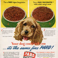 Pard Dog Food Advertisement