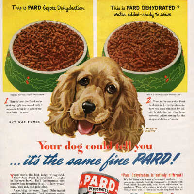 Pard Dog Food Advertisement