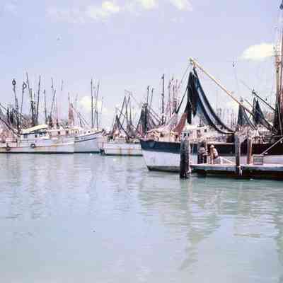 Shrimp Boats at Key West Bight