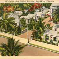 Birdseye View Cactus Terrace