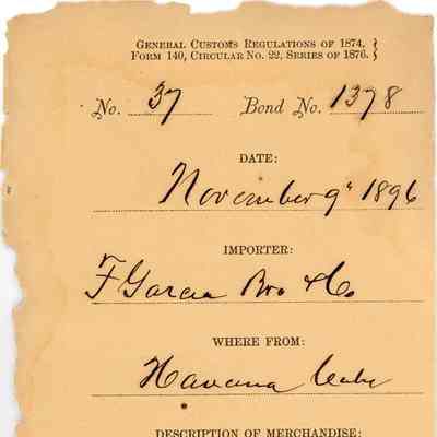 Customs Import Receipt