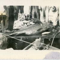 Figures Standing By a Fish