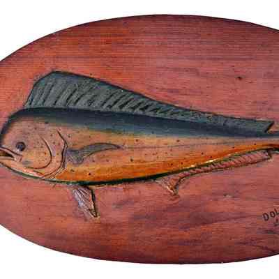 Dolphin Key West Fla