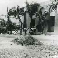 Key West Aquarium Coconut Palm Tree Delivery