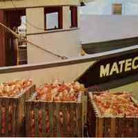 Florida Lobsters in Key West, Florida