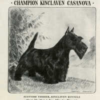 Pard Dog Food Advertisement