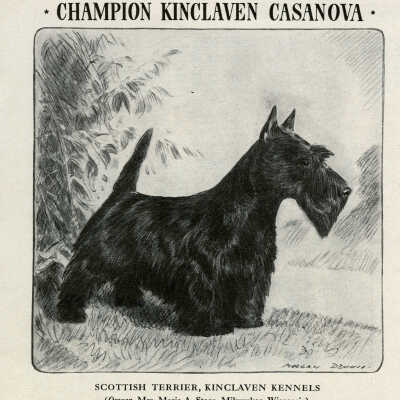 Pard Dog Food Advertisement