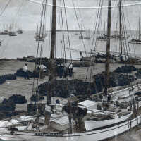 CITY OF KEY WEST Sponging Schooner