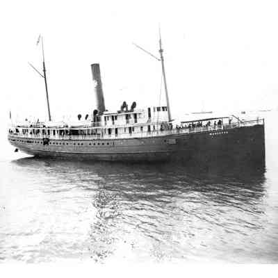 SS MASCOTTE