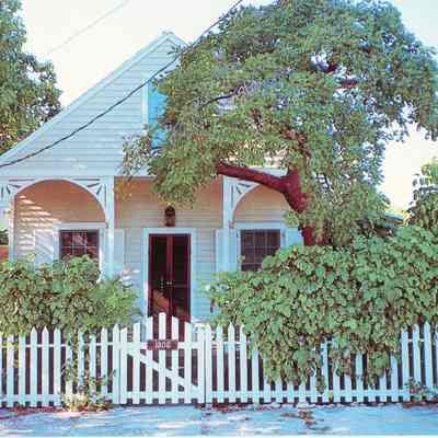Typical Tiny Key West Gem