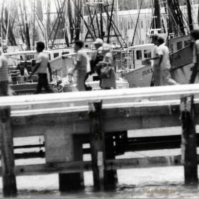 Cubans Arriving During the Mariel Boatlift