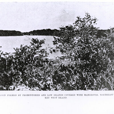 Lagoon Northeast Shore of Key West